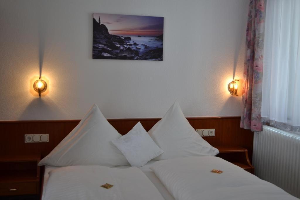 Hotel Hofgarten Bad Buchau Εξωτερικό φωτογραφία